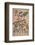 Angelica Arcangelica-Jacopo Ligozzi-Framed Art Print