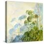 Angelica Shadows-Timothy Easton-Stretched Canvas