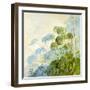 Angelica Shadows-Timothy Easton-Framed Giclee Print