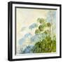 Angelica Shadows-Timothy Easton-Framed Giclee Print