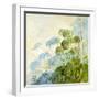 Angelica Shadows-Timothy Easton-Framed Giclee Print