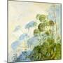 Angelica Shadows-Timothy Easton-Mounted Giclee Print