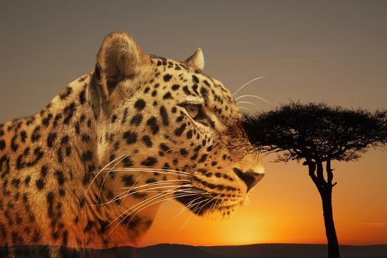 Premium Photographic Print, , large