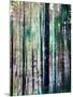 Wood Mount