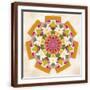 Brown Frame