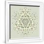 Gramercy White