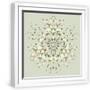 White Frame