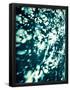 Essential Black