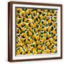 Brown Frame