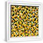 White Frame