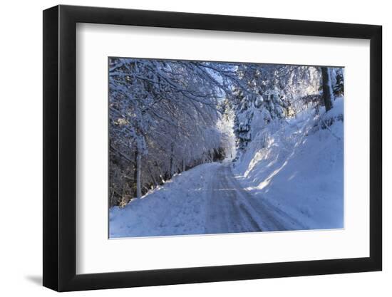Premium Photographic Print, , large