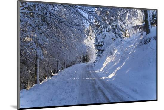 Photographic Print, , large