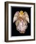 Angels 1-Edgar Jerins-Framed Premium Giclee Print