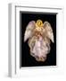 Angels 1-Edgar Jerins-Framed Premium Giclee Print