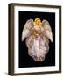 Angels 1-Edgar Jerins-Framed Giclee Print