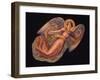 Angels 2-Edgar Jerins-Framed Giclee Print
