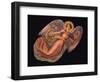 Angels 2-Edgar Jerins-Framed Premium Giclee Print