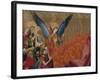 Angels and Saints, Detail from Coronation of Virgin, 1454-Enguerrand Quarton-Framed Giclee Print