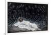 Angels Came and Ministered Unto Him, Illustration for 'The Life of Christ', C.1886-94-James Tissot-Framed Giclee Print