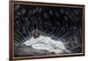 Angels Came and Ministered Unto Him, Illustration for 'The Life of Christ', C.1886-94-James Tissot-Framed Giclee Print