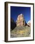 Angels' Landing in Autumn, Zion National Park, Utah, USA-Ruth Tomlinson-Framed Photographic Print