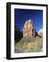Angels' Landing in Autumn, Zion National Park, Utah, USA-Ruth Tomlinson-Framed Photographic Print