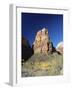 Angels' Landing in Autumn, Zion National Park, Utah, USA-Ruth Tomlinson-Framed Photographic Print