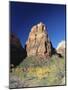 Angels' Landing in Autumn, Zion National Park, Utah, USA-Ruth Tomlinson-Mounted Photographic Print