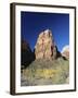 Angels' Landing in Autumn, Zion National Park, Utah, USA-Ruth Tomlinson-Framed Photographic Print