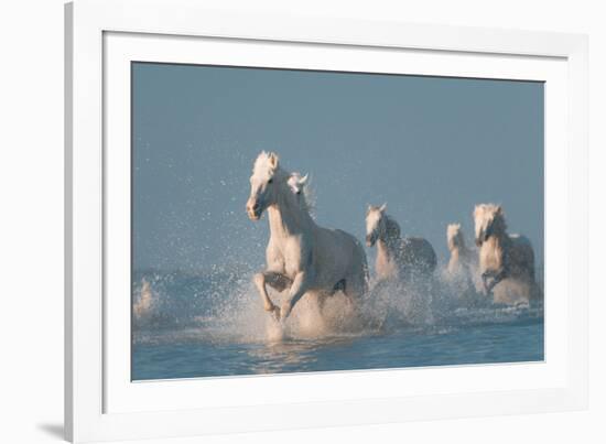 Angels of Camargue-Rostovskiy Anton-Framed Photographic Print