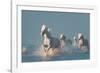 Angels of Camargue-Rostovskiy Anton-Framed Photographic Print