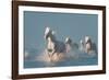 Angels of Camargue-Rostovskiy Anton-Framed Photographic Print