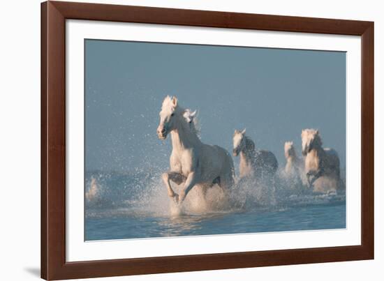 Angels of Camargue-Rostovskiy Anton-Framed Photographic Print