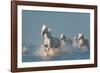 Angels of Camargue-Rostovskiy Anton-Framed Photographic Print