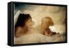 Angels Talking-Betsy Cameron-Framed Stretched Canvas