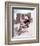 Angie Dickinson - Rio Bravo-null-Framed Photo