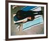 Angie Dickinson-null-Framed Photo