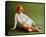 Angie Dickinson-null-Framed Stretched Canvas