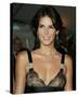 Angie Harmon-null-Stretched Canvas