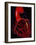 Angina Pectoris-John Bavosi-Framed Photographic Print