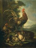 Farm Animals: a Cock, Two Chickens and Seven Chicks-Angiolo Maria Crivelli (Crivellone)-Art Print