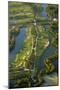 Angkor Golf Resort, Siem Reap, Cambodia-David Wall-Mounted Photographic Print