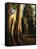 Angkor, Ta Prohm, 400-year-old Tree, Cambodia-Walter Bibikow-Framed Stretched Canvas
