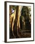 Angkor, Ta Prohm, 400-year-old Tree, Cambodia-Walter Bibikow-Framed Photographic Print
