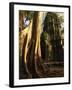 Angkor, Ta Prohm, 400-year-old Tree, Cambodia-Walter Bibikow-Framed Photographic Print