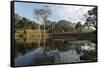 Angkor Thom, Angkor, UNESCO World Heritage Site, Siem Reap, Cambodia, Indochina, Southeast Asia, As-Peter Schickert-Framed Stretched Canvas
