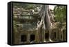 Angkor Tree Roots Cover-null-Framed Stretched Canvas