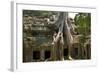 Angkor Tree Roots Cover-null-Framed Photographic Print