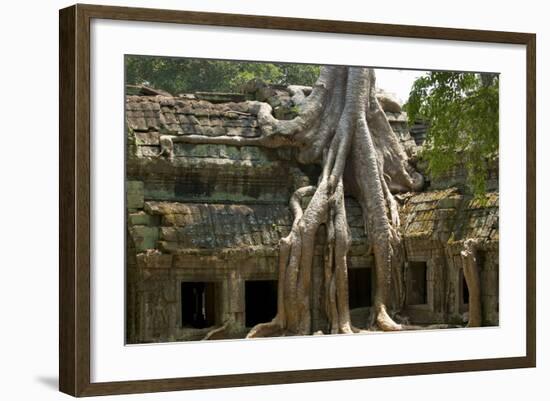 Angkor Tree Roots Cover-null-Framed Photographic Print