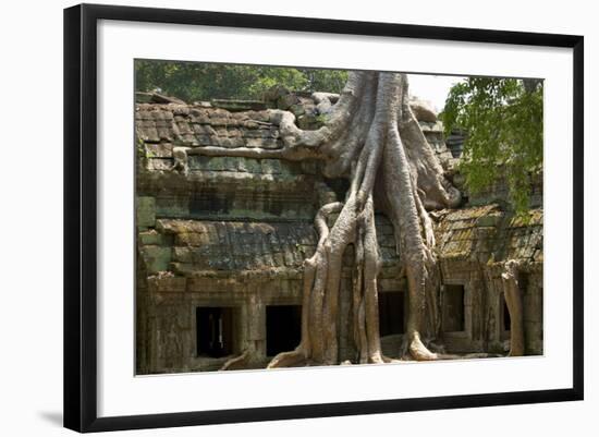 Angkor Tree Roots Cover-null-Framed Photographic Print